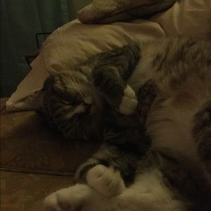 Meet your Posher, Carrie